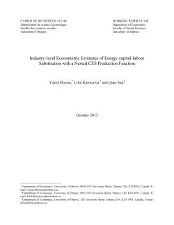 Industry-level Econometric Estimates of Energy-capital