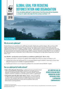 global goal for reducing deforestation and degradation