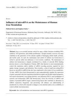 Influence of microRNA on the Maintenance of Human Iron Metabolism