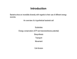 2c-Energy_Metabol copy