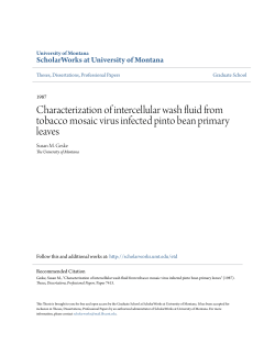 Characterization of intercellular wash fluid from tobacco mosaic