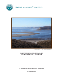 MARICULTURE AND HARBOR SEALS IN DRAKES ESTERO