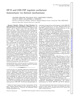 SP-D and GM-CSF regulate surfactant homeostasis via - AJP-Lung