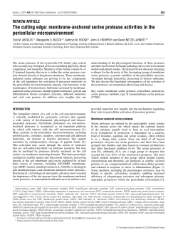 The cutting edge: membrane-anchored serine protease activities in