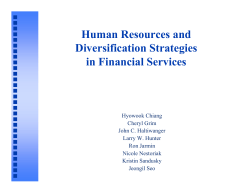 Human Resources and Diversification Strategies