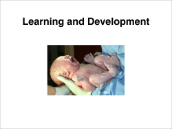 Learning and Development