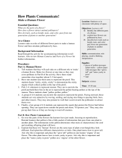 How Plants Communicate!