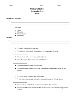 The Scarlet Letter Literary Devices Notes