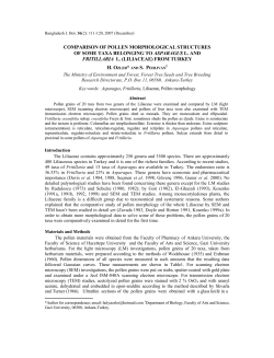 COMPARISON OF POLLEN MORPHOLOGICAL STRUCTURES OF