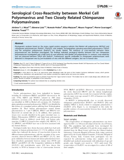 Serological Cross-Reactivity between Merkel Cell
