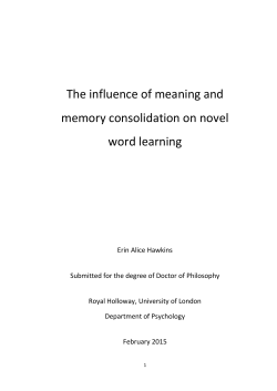 The influence of meaning and memory consolidation on novel word