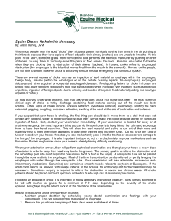 Equine Choke - Brandon Equine Medical Center