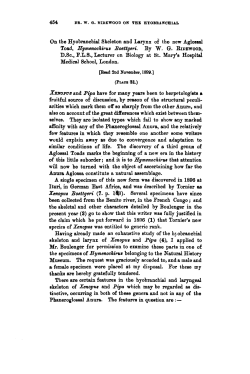 On the Hyobranchial Skeleton and Larynx of the new Aglossal Toad