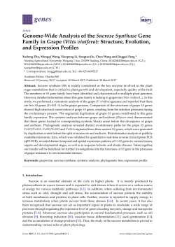Genome-Wide Analysis of the Sucrose Synthase Gene Family in