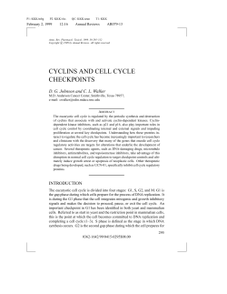 CYCLINS AND CELL CYCLE CHECKPOINTS