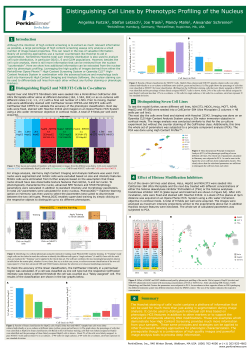 Distinguishing Cell Lines by Phenotypic Profiling of the Nucleus