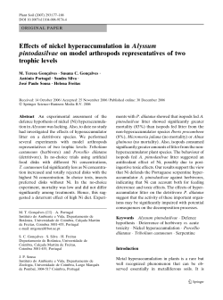 Effects of nickel hyperaccumulation in Alyssum
