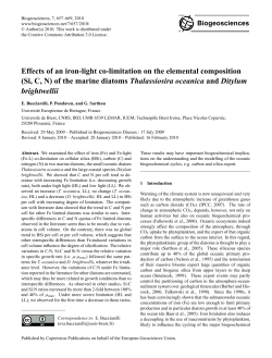 Effects of an iron-light co-limitation on the