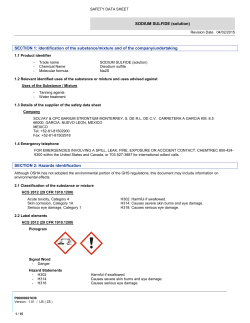 SODIUM SULFIDE (solution)