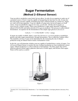 Sugar Fermentation