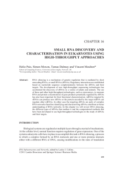 chapter 16 small rna discovery and characterisation in eukaryotes