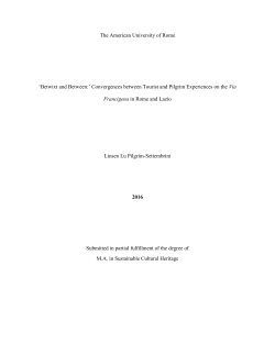 Short_Thesis Sample Settembrini, 408.0 KB