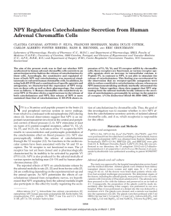 NPY Regulates Catecholamine Secretion from Human Adrenal