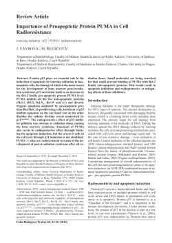 Review Article Importance of Proapoptotic Protein PUMA in Cell