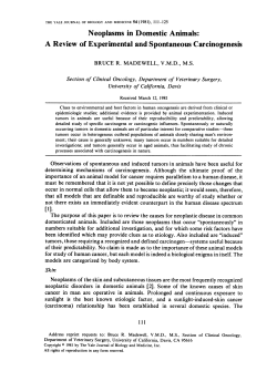 Neoplasms in Domestic Animals: A Review of