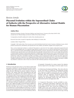 Placental Evolution within the Supraordinal Clades of Eutheria with