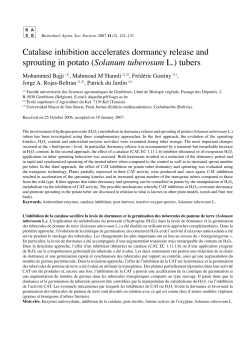 Catalase inhibition accelerates dormancy release and sprouting