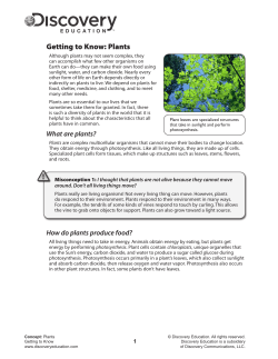 Getting to Know: Plants