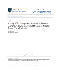 A Study of the Perceptions of Novice and Veteran Elementary