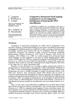 Comparative chromosome band mapping in primates by in sito