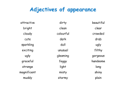 Adjectives of appearance