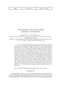 as a PDF