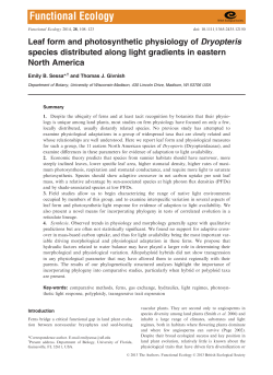 Leaf form and photosynthetic physiology of Dryopteris species