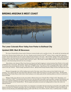 Birding the Lower Colorado River