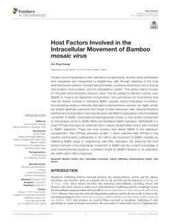 Host Factors Involved in the Intracellular Movement of Bamboo