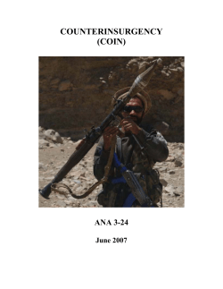 counterinsurgency (coin)