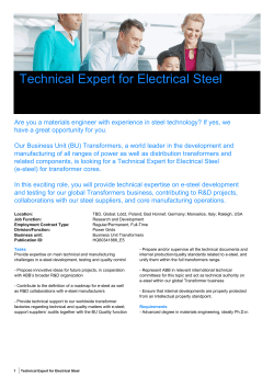 Technical Expert for Electrical Steel
