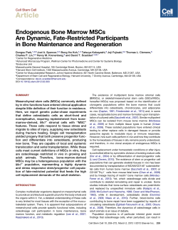 Endogenous Bone Marrow MSCs Are Dynamic, Fate
