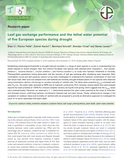 Leaf gas exchange performance and the lethal