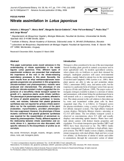 Nitrate assimilation in Lotus japonicus