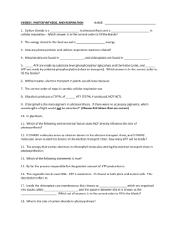 ENERGY, PHOTOSYNTHESIS, AND RESPIRATION N AM E: 1