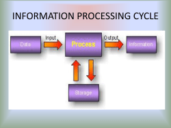 the central processin unit (cpu) - Cumberlandhigh