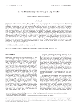 The benefits of heterospecific oophagy in a top predator - ORBi