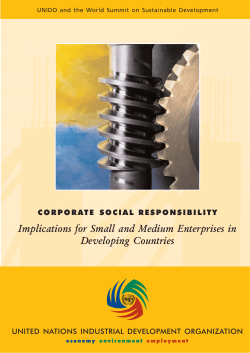 Implications for small and medium enterprises in developing countries.