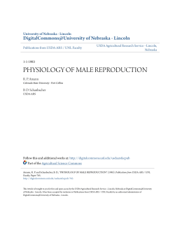 physiology of male reproduction - DigitalCommons@University of