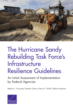 The Hurricane Sandy Rebuilding Task Force`s Infrastructure